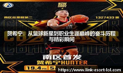 贺希宁：从篮球新星到职业生涯巅峰的奋斗历程与精彩瞬间